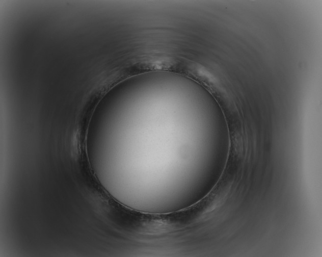 X0000089710594200706281514