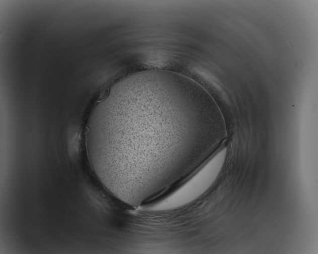 X0000089710596200706281514