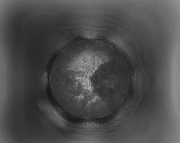 X0000089710598200706281514