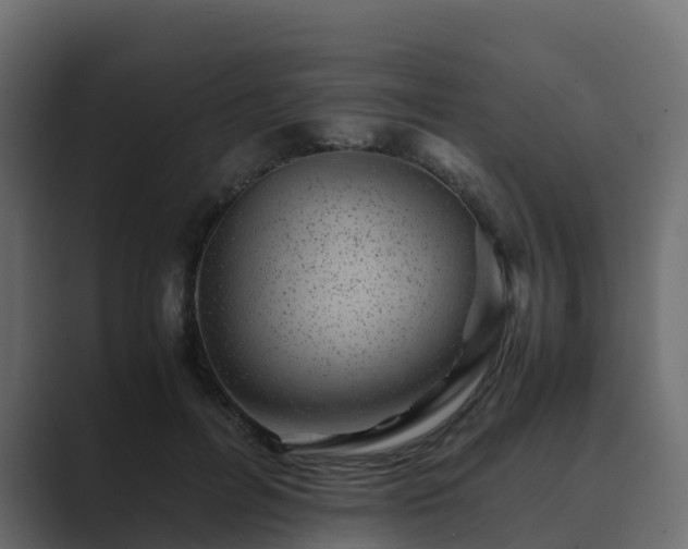 X0000089710600200706281514