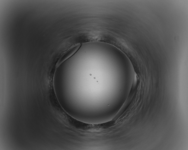 X0000089710601200706281514