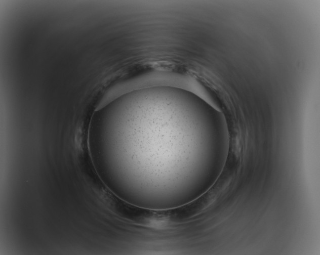 X0000089710604200706281514