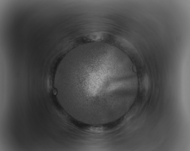 X0000089710606200706281514