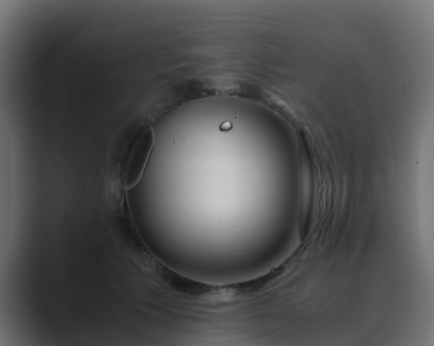 X0000089710609200706281513