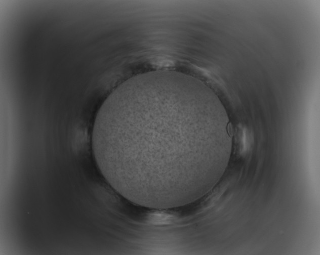 X0000089710614200706281513