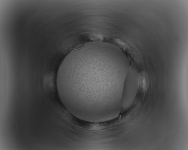 X0000089710616200706281513