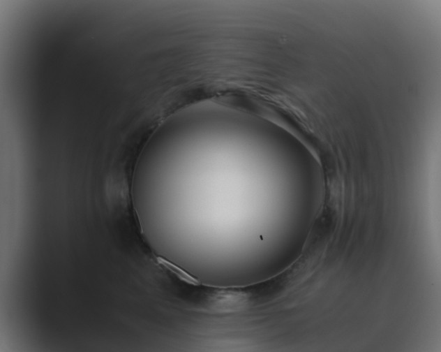 X0000089710617200706281513