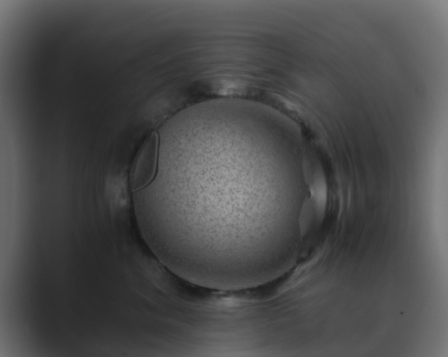 X0000089710620200706281513