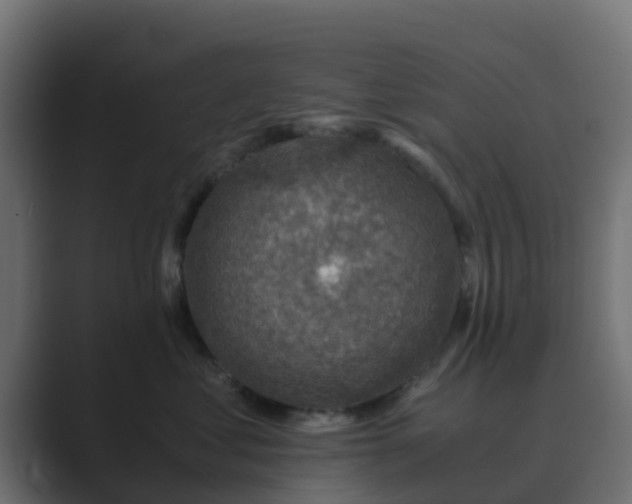 X0000089710621200706281513