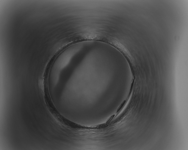 X0000089710626200706281513