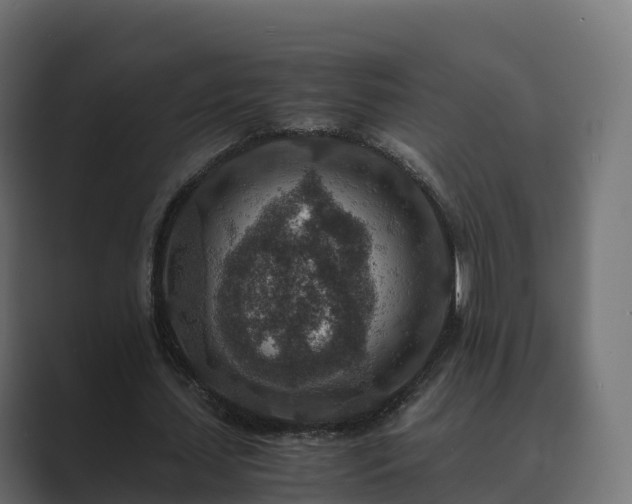 X0000089710627200706281513