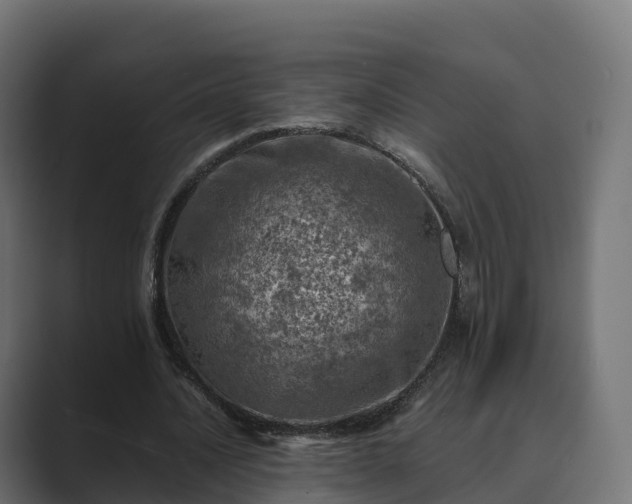 X0000089710628200706281513