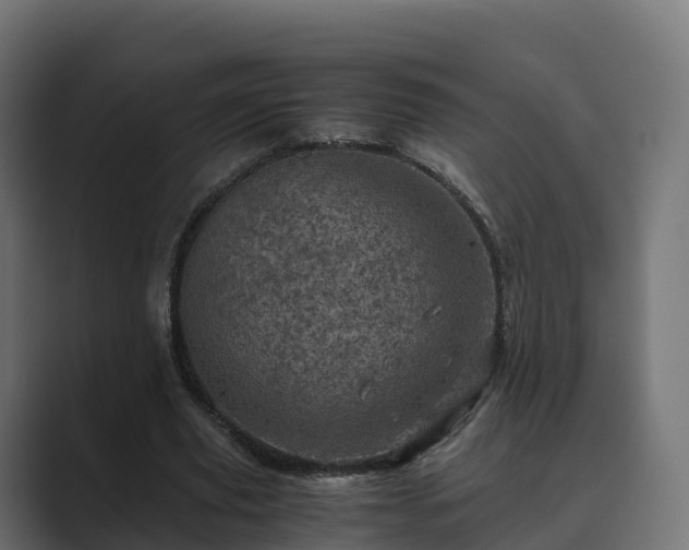 X0000089710629200706281513