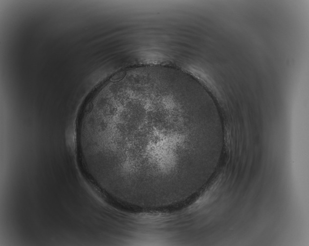 X0000089710630200706281513