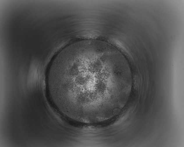 X0000089710634200706281513