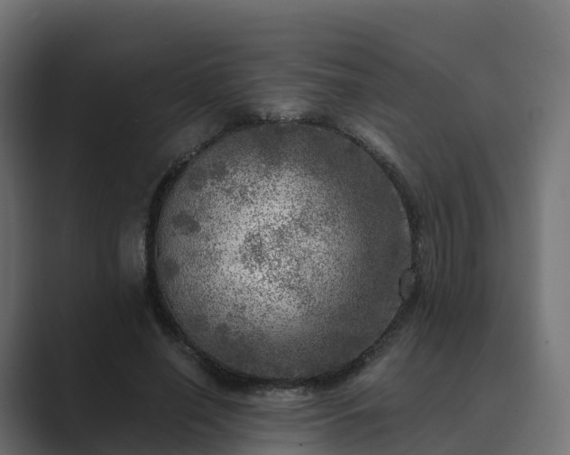 X0000089710638200706281513