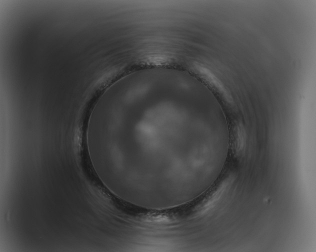 X0000089710640200706281513