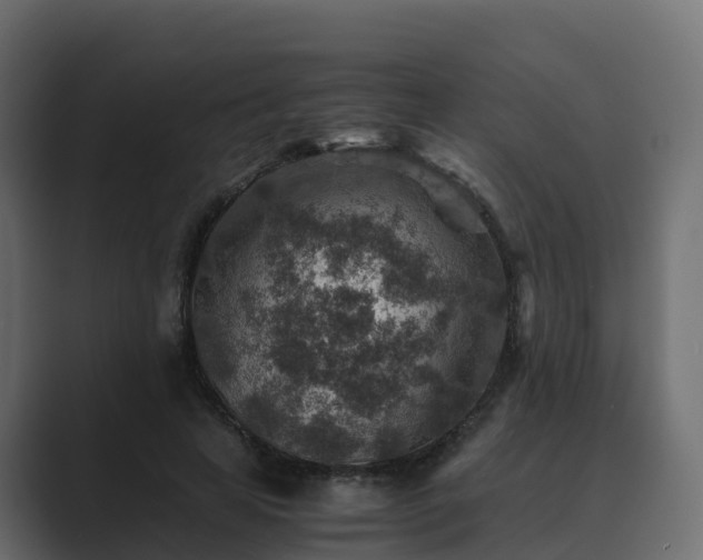 X0000089710641200706281513