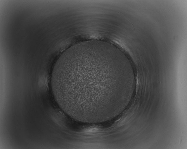 X0000089710643200706281513