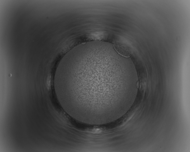 X0000089710647200706281513