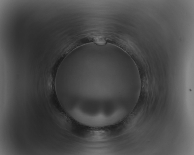 X0000089710650200706281513