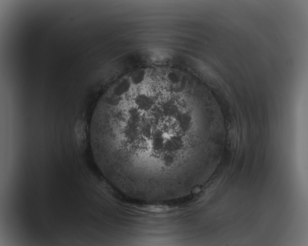 X0000089710654200706281513