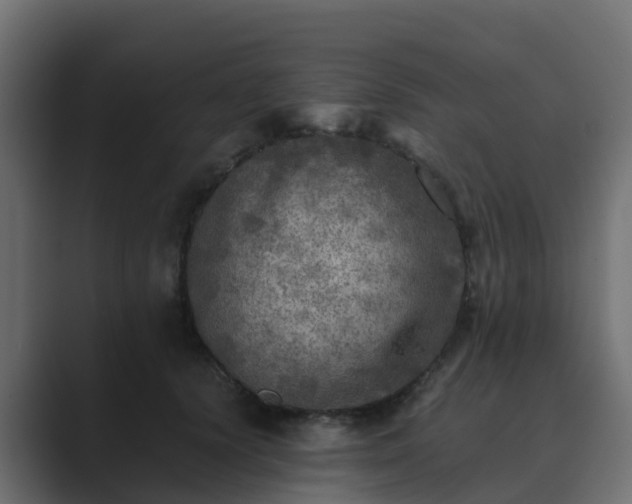 X0000089710656200706281513