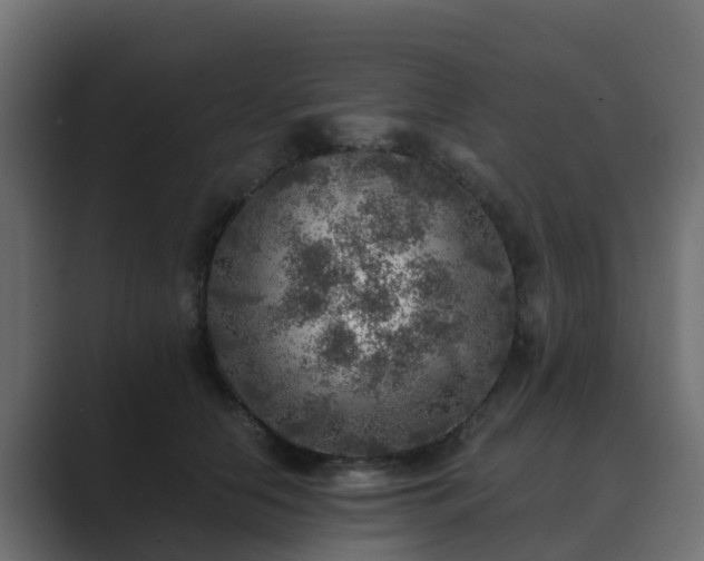 X0000089710658200706281513