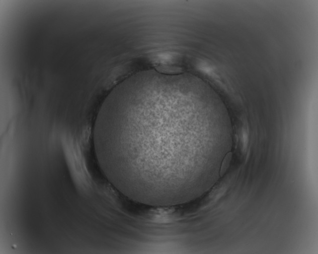 X0000089710660200706281513