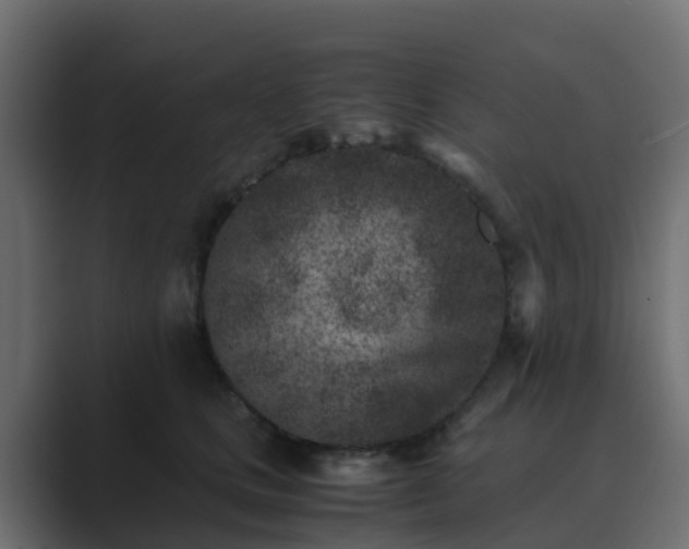 X0000089710661200706281513