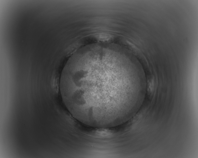 X0000089710666200706281513