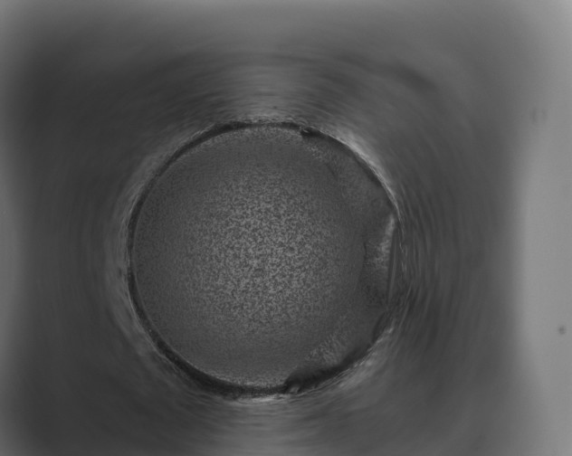 X0000089710673200706281513