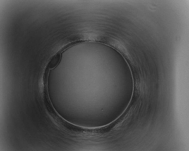 X0000089710674200706281513