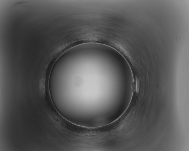 X0000089710675200706281513