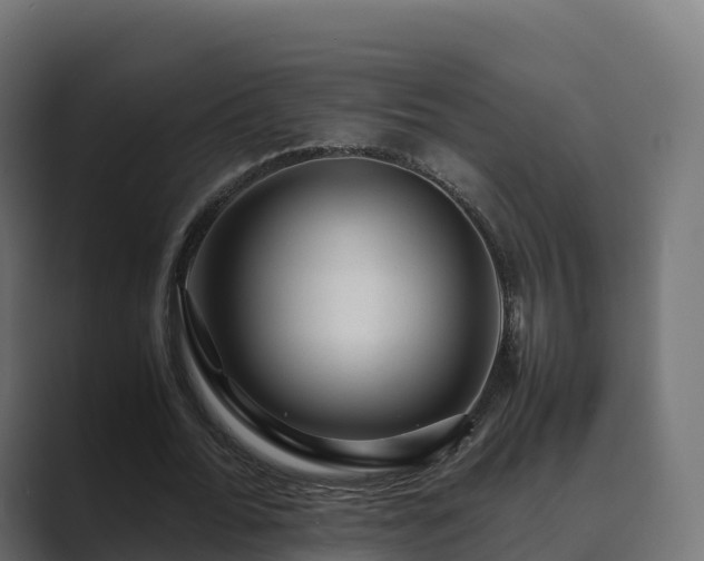 X0000089710676200706281513