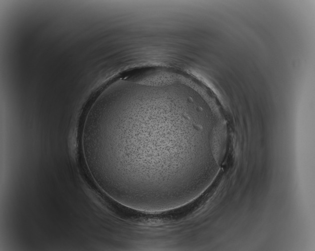 X0000089710677200706281513