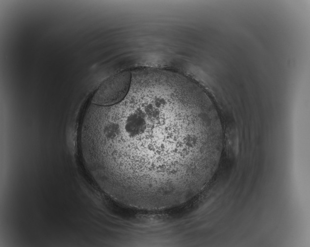 X0000089710679200706281513