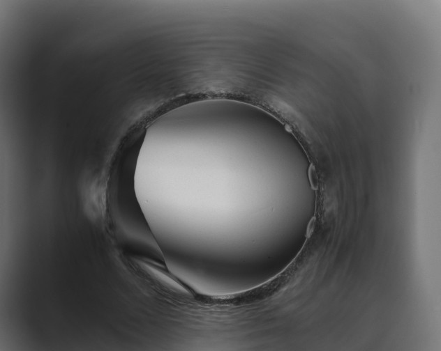 X0000089710680200706281513