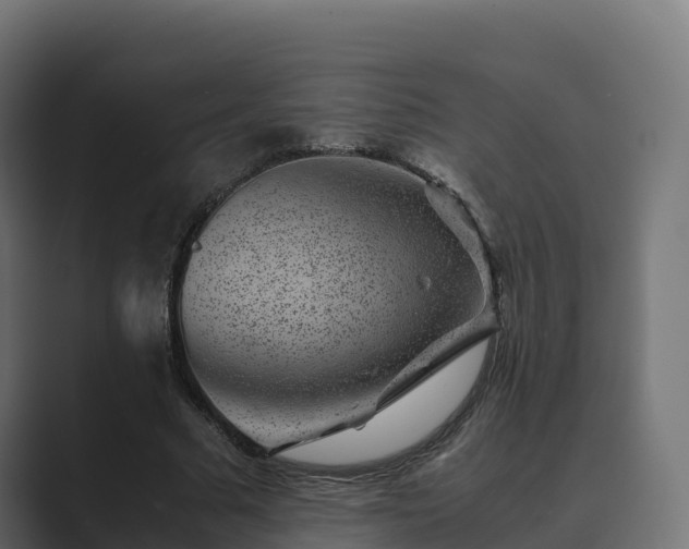 X0000089710681200706281513