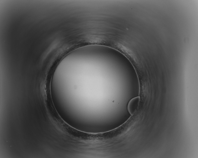 X0000089710682200706281513