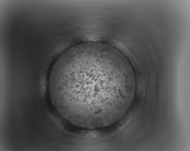 X0000089710683200706281513