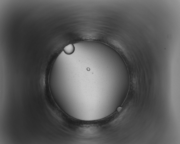 X0000089710686200706281513