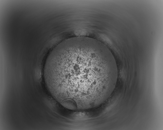 X0000089710687200706281513