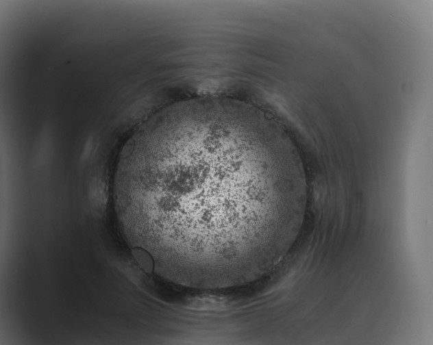 X0000089710691200706281513