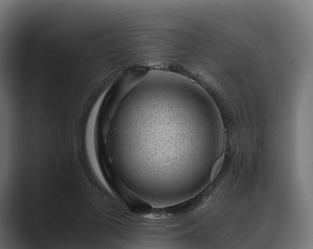 X0000089710693200706281513