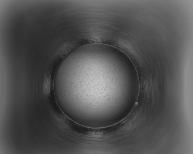 X0000089710694200706281512