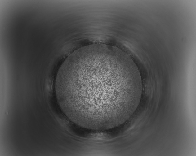 X0000089710695200706281512