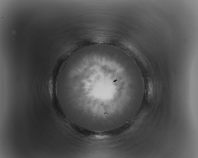 X0000089710696200706281512