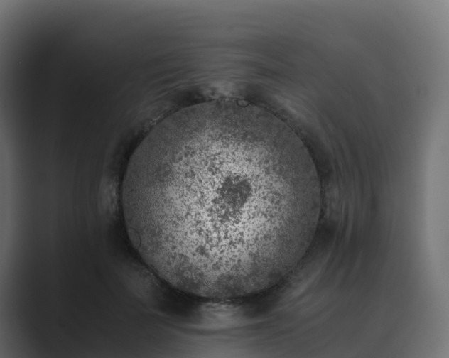 X0000089710699200706281512