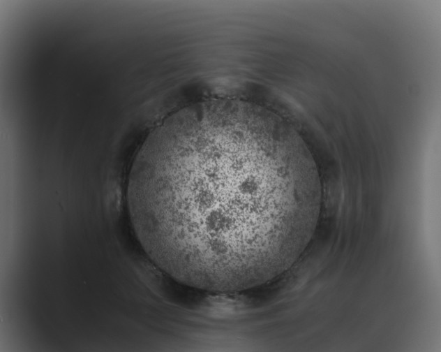 X0000089710703200706281512